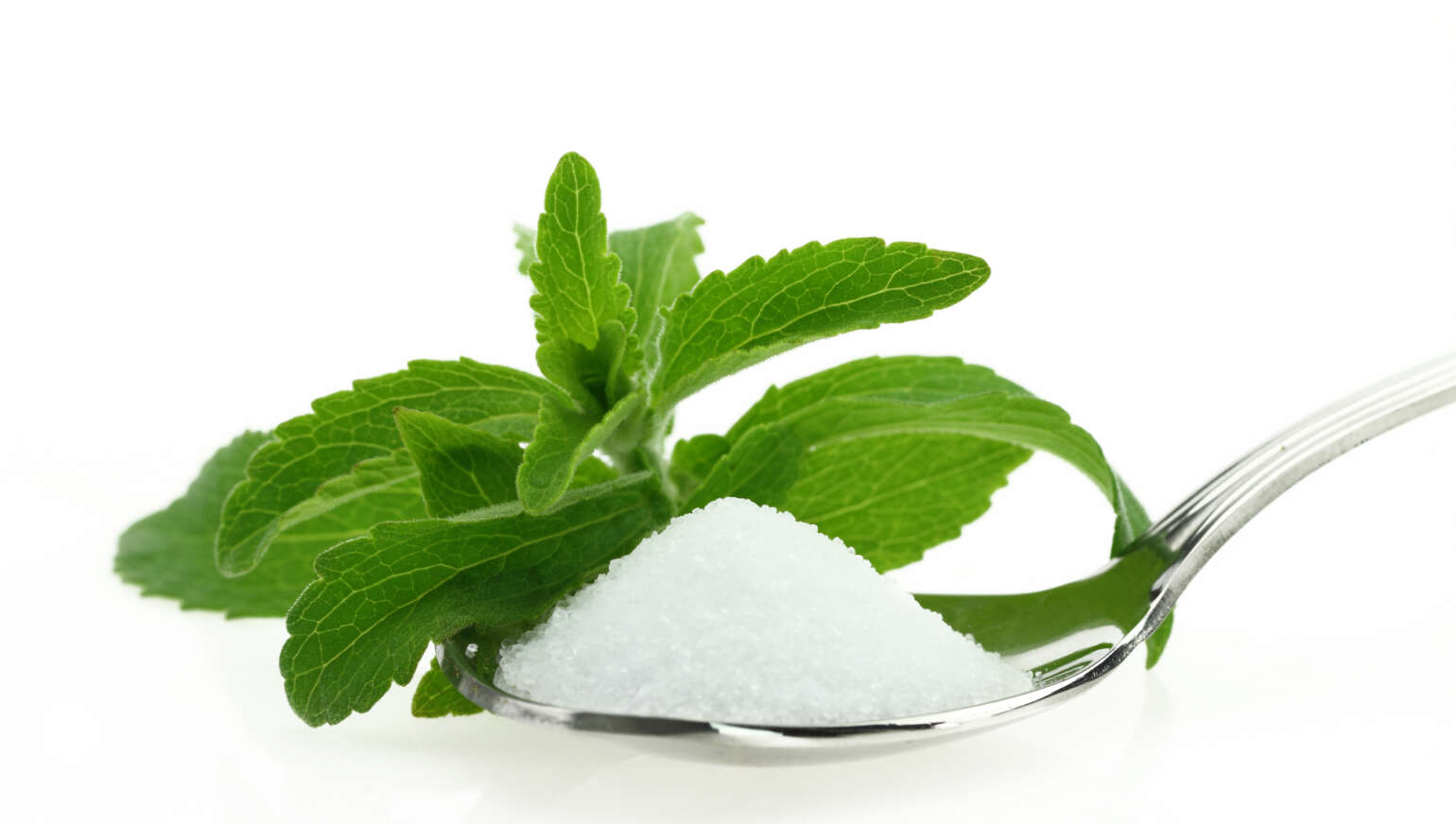 Light e Stevia Sorbet